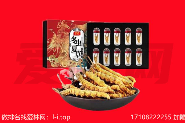 罗平县回收虫草.jpg